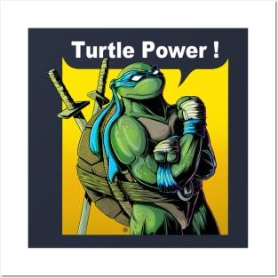 TURTLE POWER Posters and Art